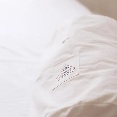 Villa Moulin De Cazaux-Saves