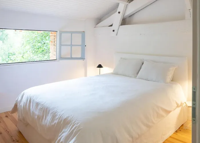 Moulin De Cazaux-Saves