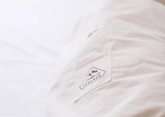 Vila Moulin De Cazaux-Saves